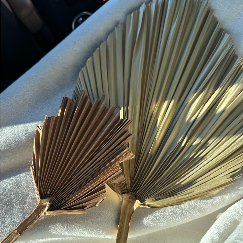 Dried palm leaves bundle (2 total)